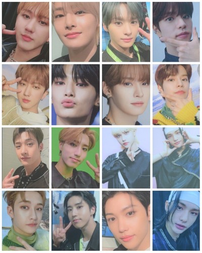 Stray kids dicon festa - kids,