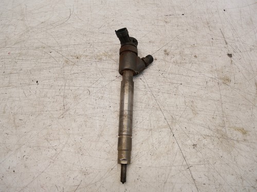 Injector 9828959880 0445110955