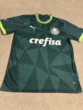 2023 Palmeiras Football Club