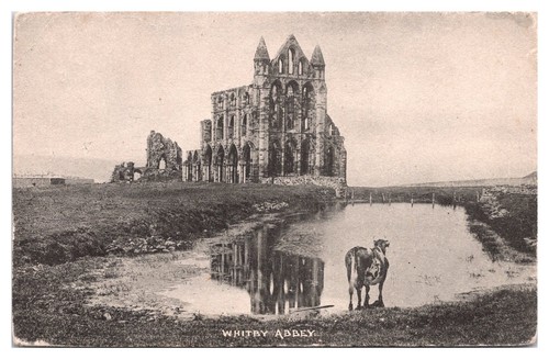 1903 whitby abbey frith - whitby, frith's