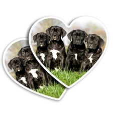 2x Vertical Vinyl Sticker Cane