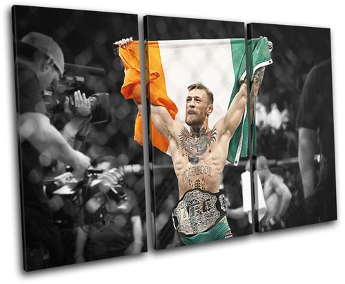 Conor mcgregor ufc mma irish - ufc,