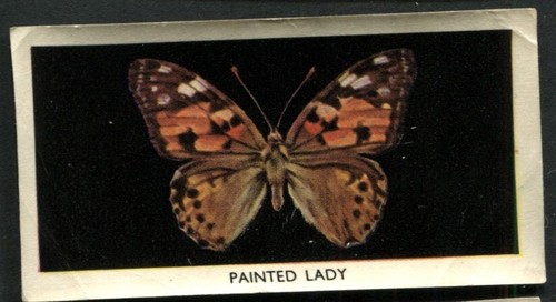 Tobacco card godfrey - tobacco,