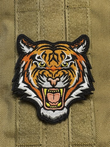 Tiger big cat - cat, man