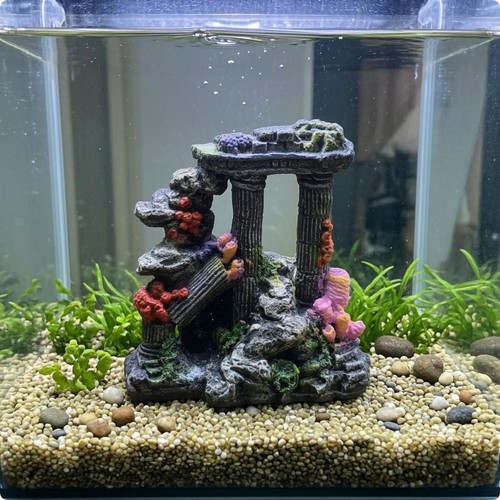 Aquarium rock naturalistic - rock,