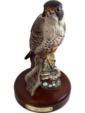 Royal Doulton Peregrine Falcon