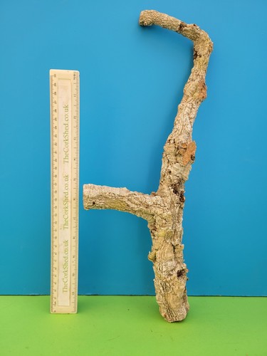 Cork bark branch 42cm snake - cork,