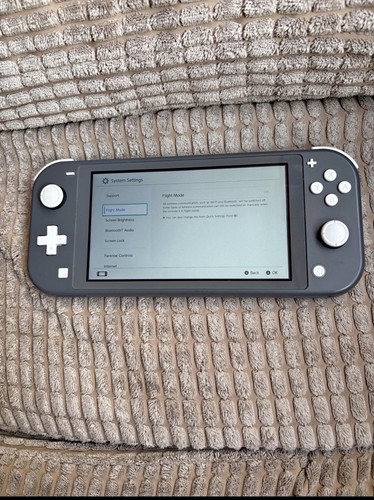 Nintendo switch lite grey - nintendo,