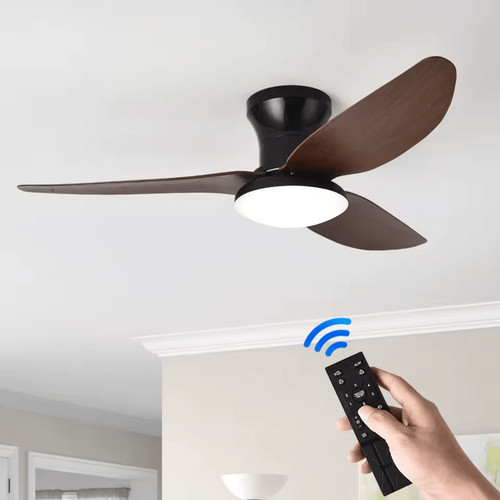 Led ceiling fan light - led, remote