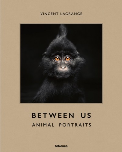 Between animal portraits by - us,