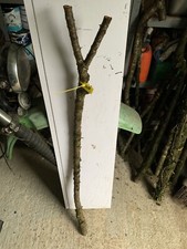 BLACKTHORN WALKING STICK SHANK