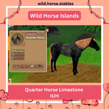Wild Horse Islands - Rare Coat