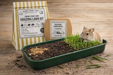 Grow Your Own Pet Grass Kit