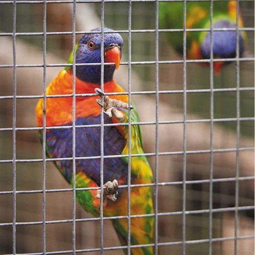 Cage aviary mesh - mesh, panel