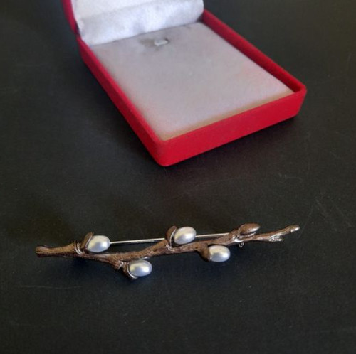 Pussy willow branch - pussy,
