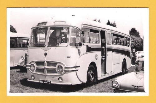 London coach photo cream - coach, ~