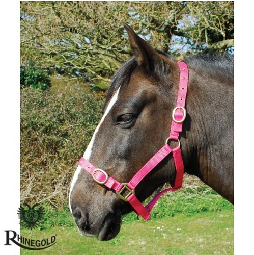 Nylon headcollar lead - &, rope