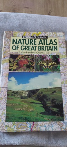 Vintage ordnance survey nature - vintage,