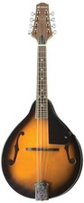 Traditional Mandolin
