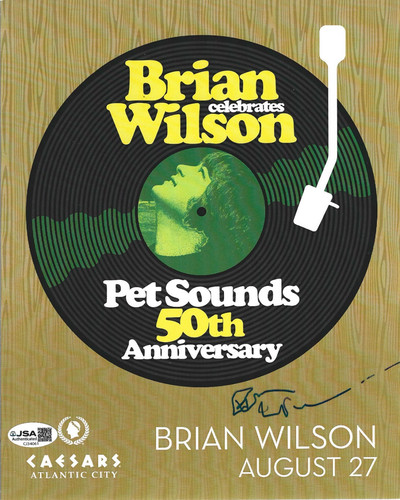 Brian wilson beach boys - of,