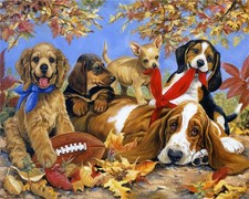 1000 Piece Animals Playful Cute Dogs & Puppies Jigsaw Puzzle