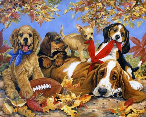 1000 piece jigsaw puzzle dogs - 1000,