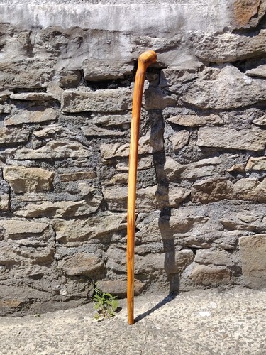 Yew ball handle wood - yew, walking