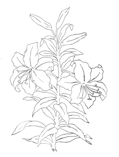 Embroidery transfer iron - embroidery,