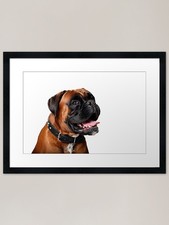 Happy boxer pup framed - boxer,
