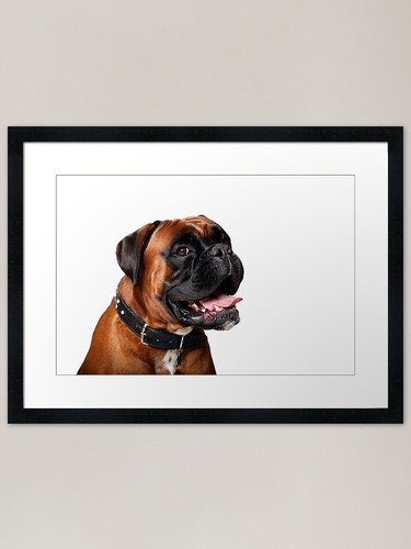 Happy boxer pup framed art - pup,