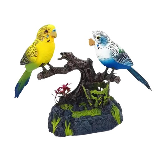 Talking parrots chirping - parrots, &