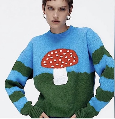 Zara mushroom toadstool - mushroom,