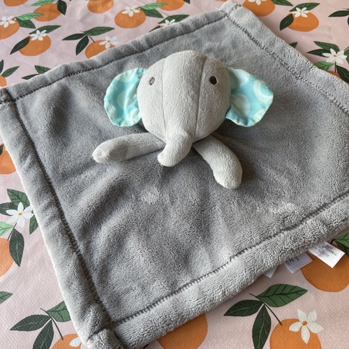 Koala baby grey elephant - koala,