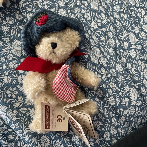 Lovely boyd bear in - , outfit