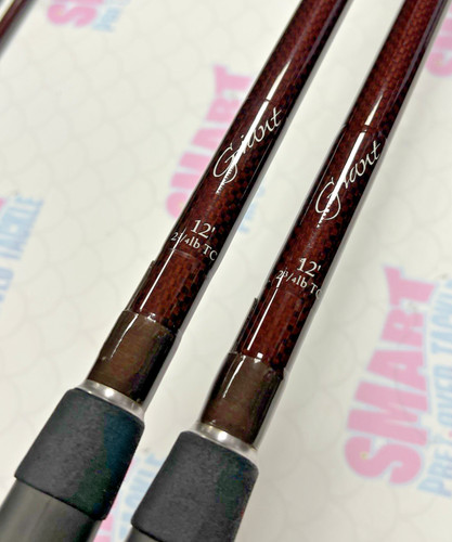 Pair giant carp - pair, rods