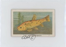 1925 Wills Birds Beasts and