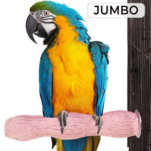 Wavy calcium edible parrot - wavy,