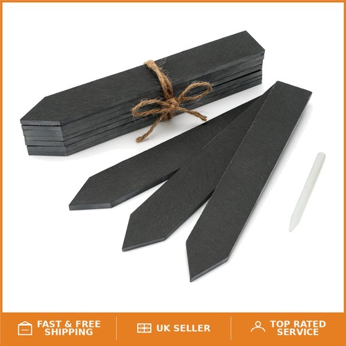 Pcs elegant slate plant - pcs,