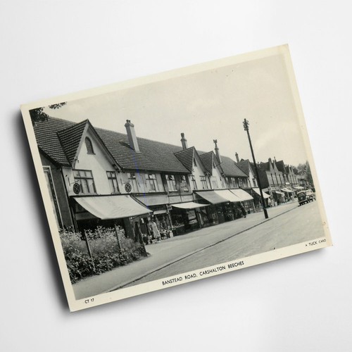 Print vintage surrey - print,