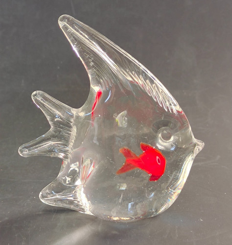 Angel fish tropical - fish,