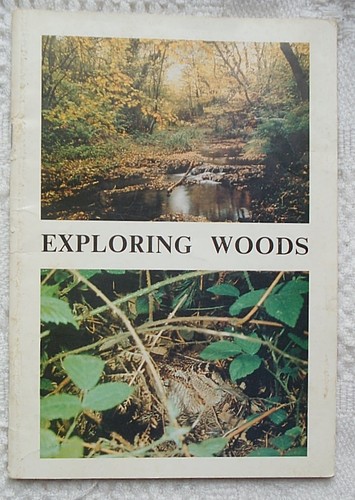 Exploring woods gateshead - exploring,