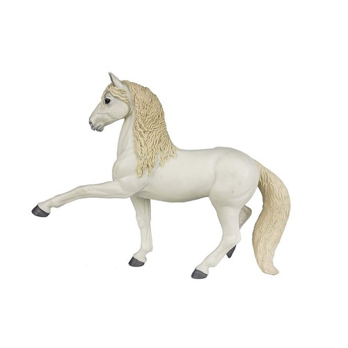 Andalusian stallion winner - stallion, winner's