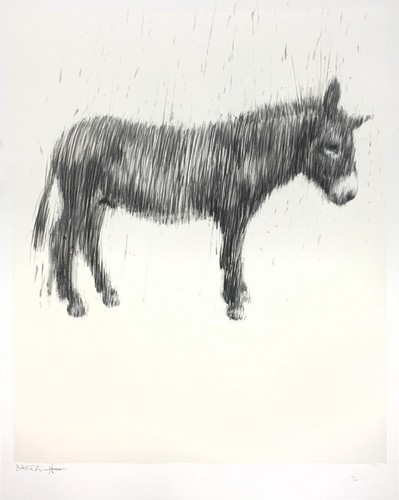 Charming baker uni - baker, donkey