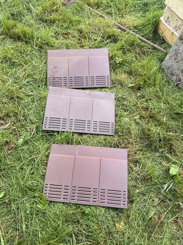 Rosemary mixed brindle roof - rosemary,