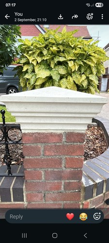 Inch pier pillar cap - 19,