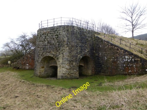 Photo 6x4 tosson lime - photo,