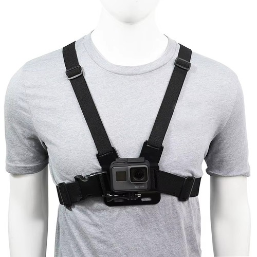 Adjustable elastic chest - chest, strap