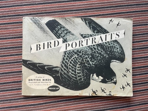 1957 bird portraits trade - bird,