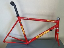 Bianchi Gold Race Team Road