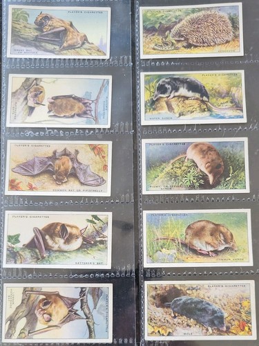 John player sons animals - player, of